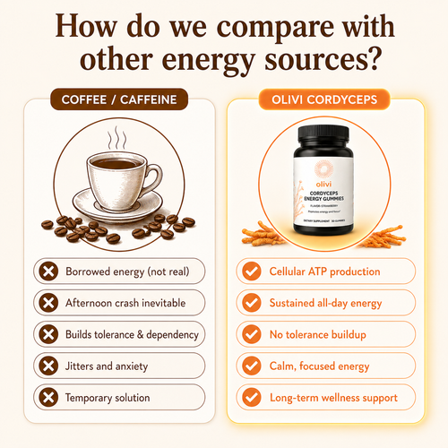 Olivi Cordyceps Energy Gummies