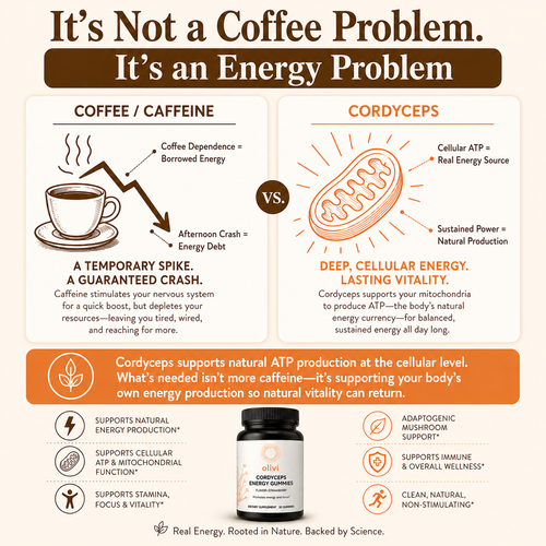 Olivi Cordyceps Energy Gummies